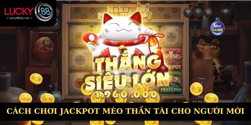 Cách chơi Jackpot mèo thần tài cho người mới