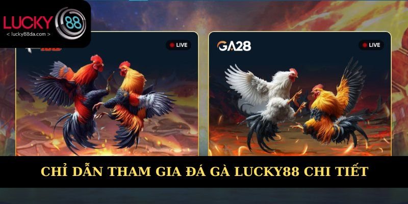 Chỉ dẫn tham gia đá gà Lucky88 chi tiết từ A - Z 