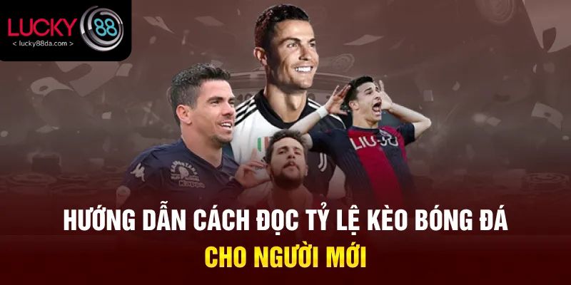 Hướng dẫn cách đọc tỷ lệ kèo bóng đá cho người mới
