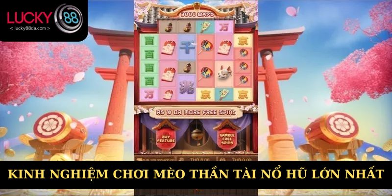 Kinh nghiệm chơi mèo thần tài nổ hũ lớn nhất