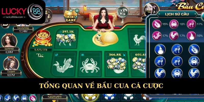 Tổng quan về bầu cua cá cược 